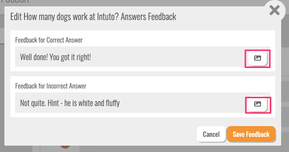 edit-question-feedback-selecting-images