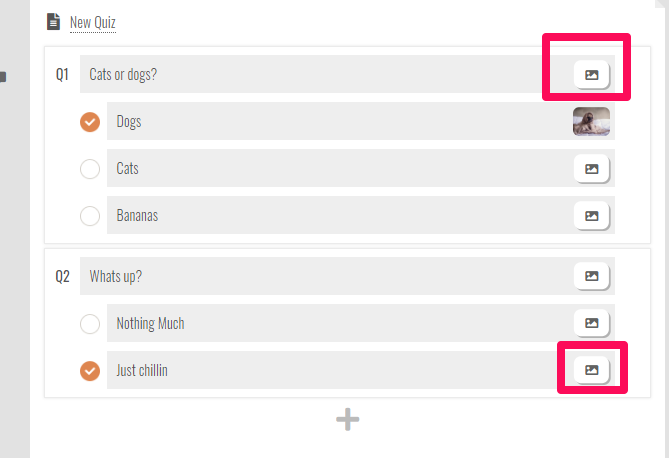 Quiz-inage-add